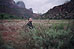 May 2011, Zion National Park, UT - Paul T. in a field.